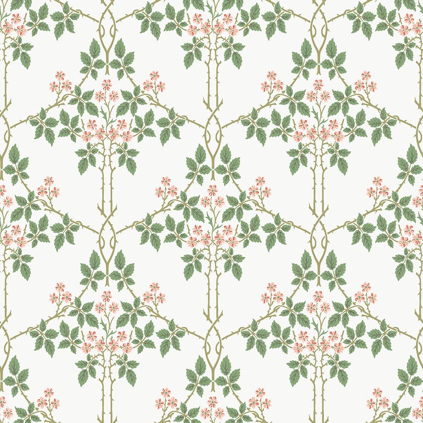 Blackberry 82054 tapet