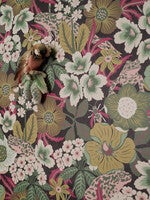 Kvackstepp, multifärg