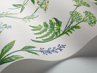 Köksväxter, vit/grön