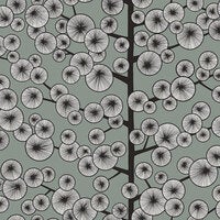 Cotton Tree Silvertown