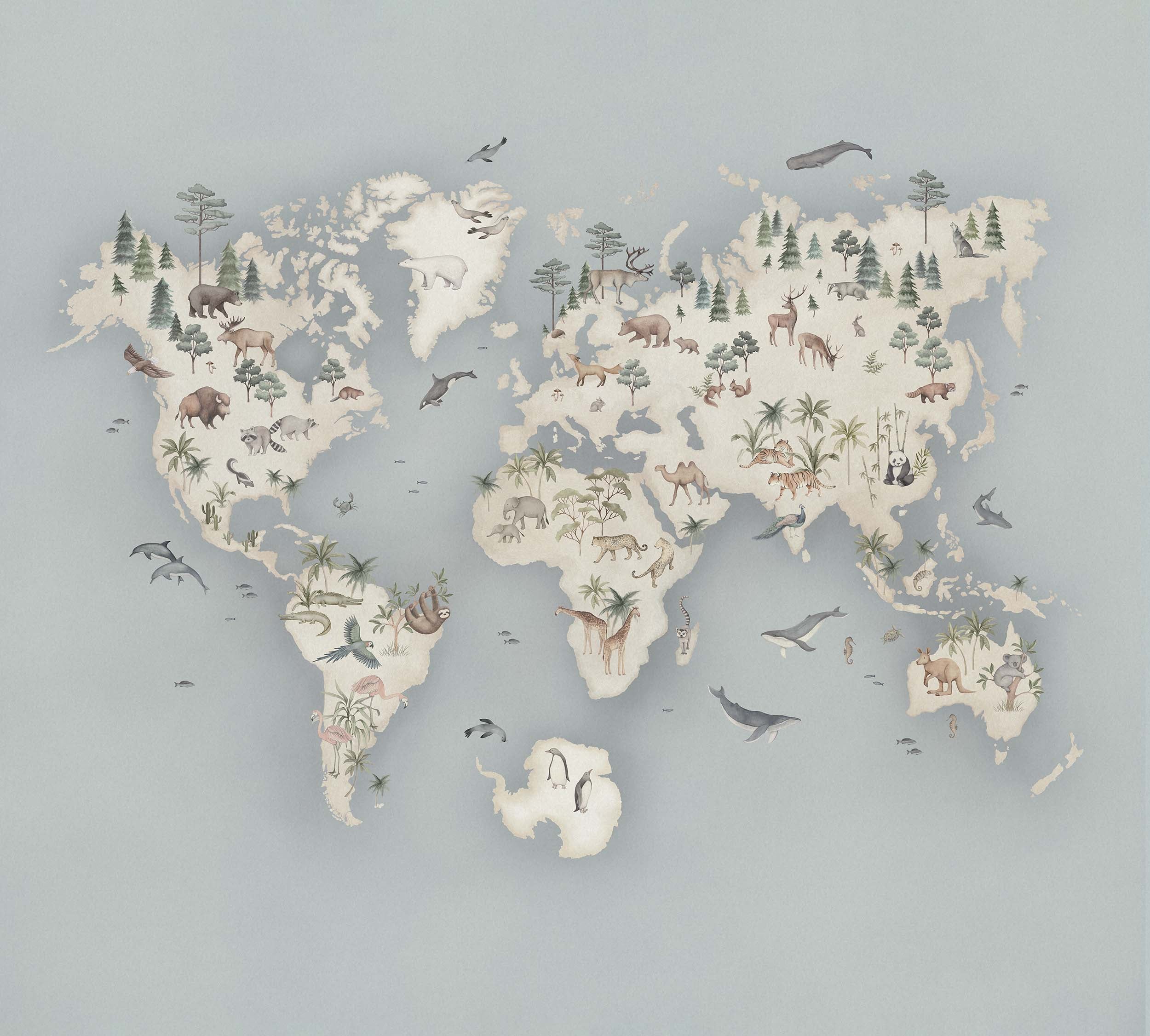 Little Explorer Mural