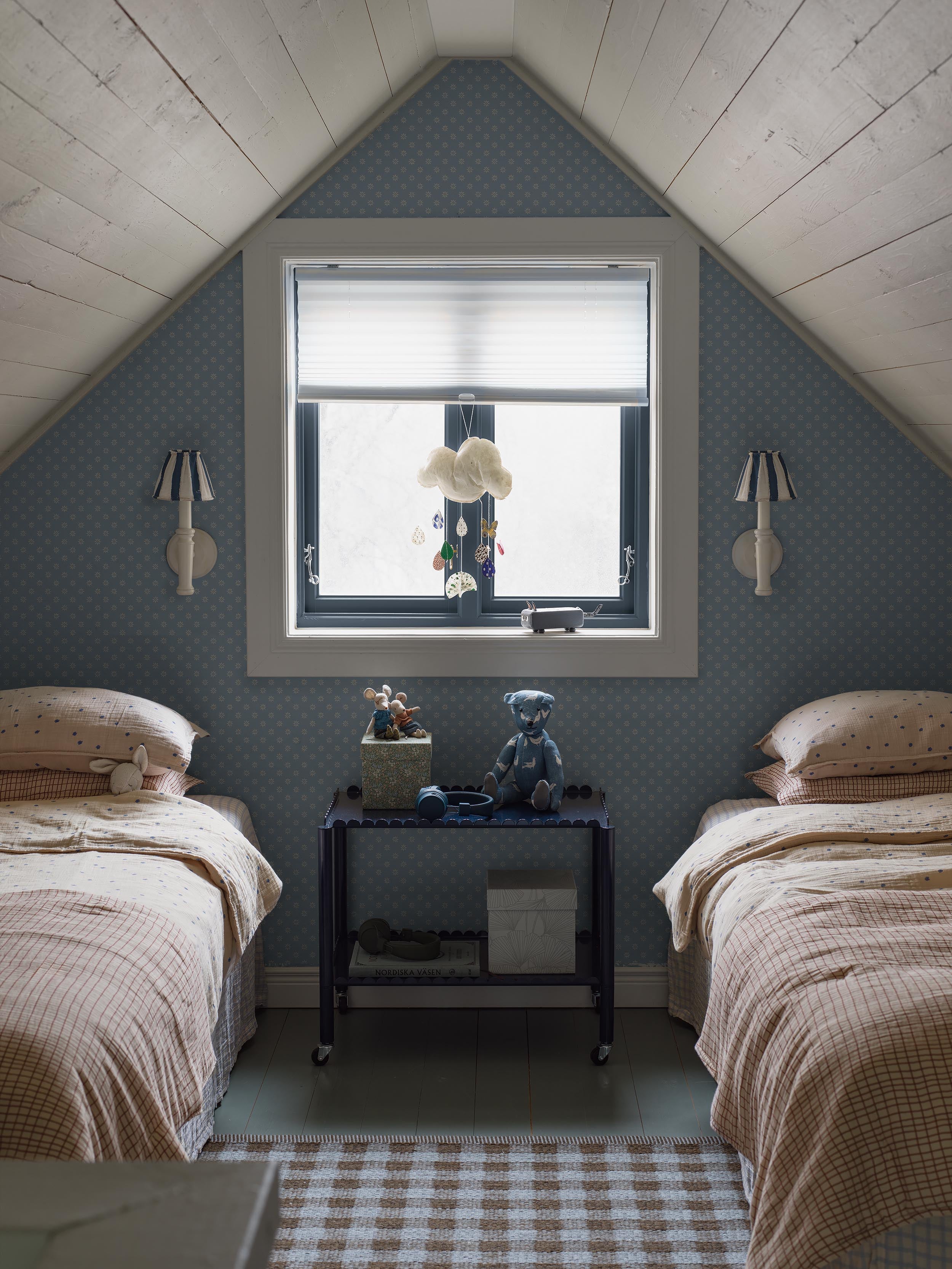 Skogsstjärna, Vit/Blå