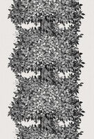 Viola Gråsten Hassel, vit/svart