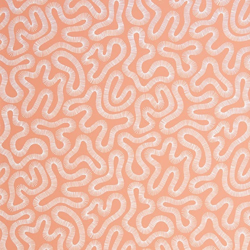 Coral peach blusch