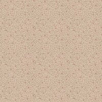 Clover småbladig, rosa