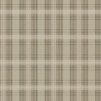 Tailor´s Tweed rutor i olivgrönt