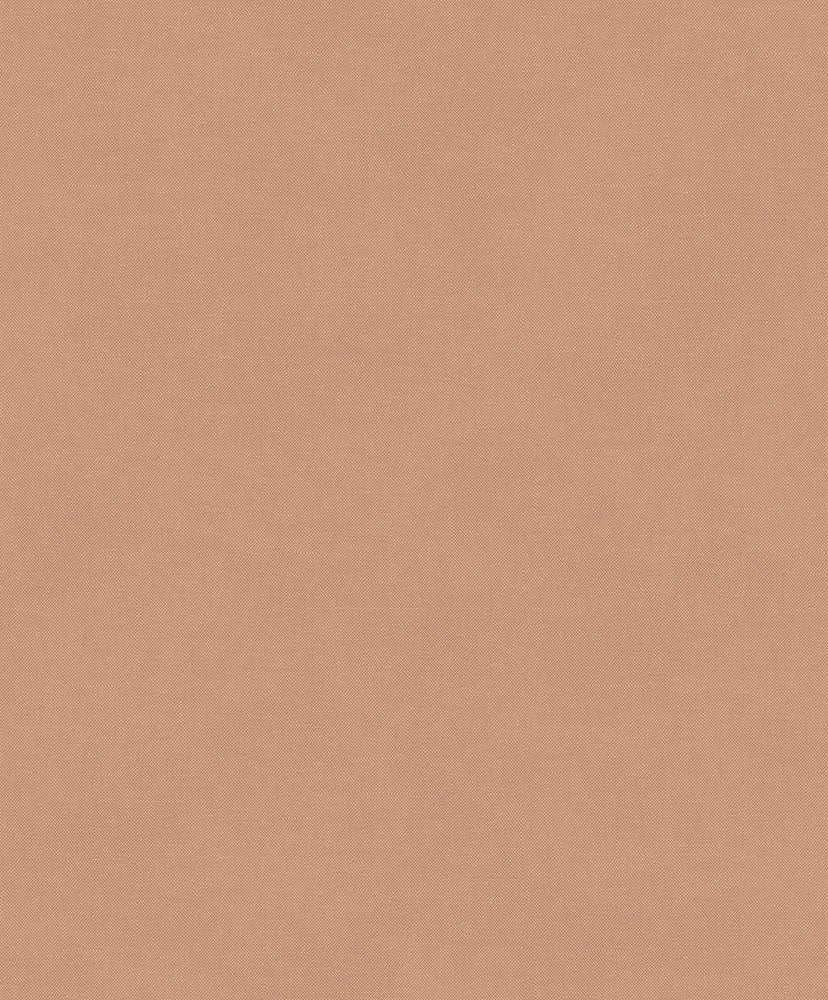 Rythm camel