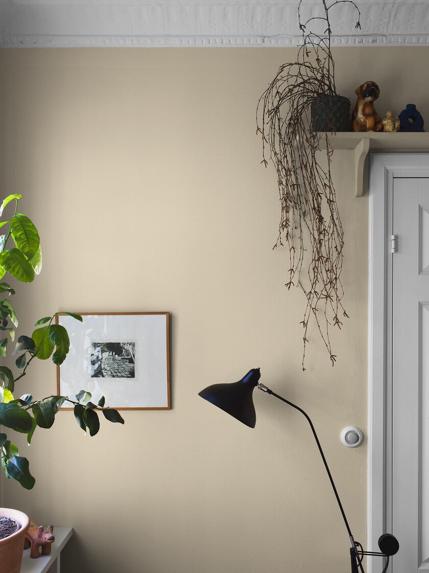 Sorbet Yellow, gul 7555 tapet