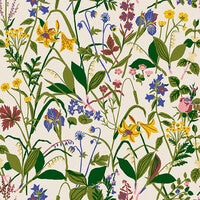 Gocken Jobs Ros och Lilja, ljus