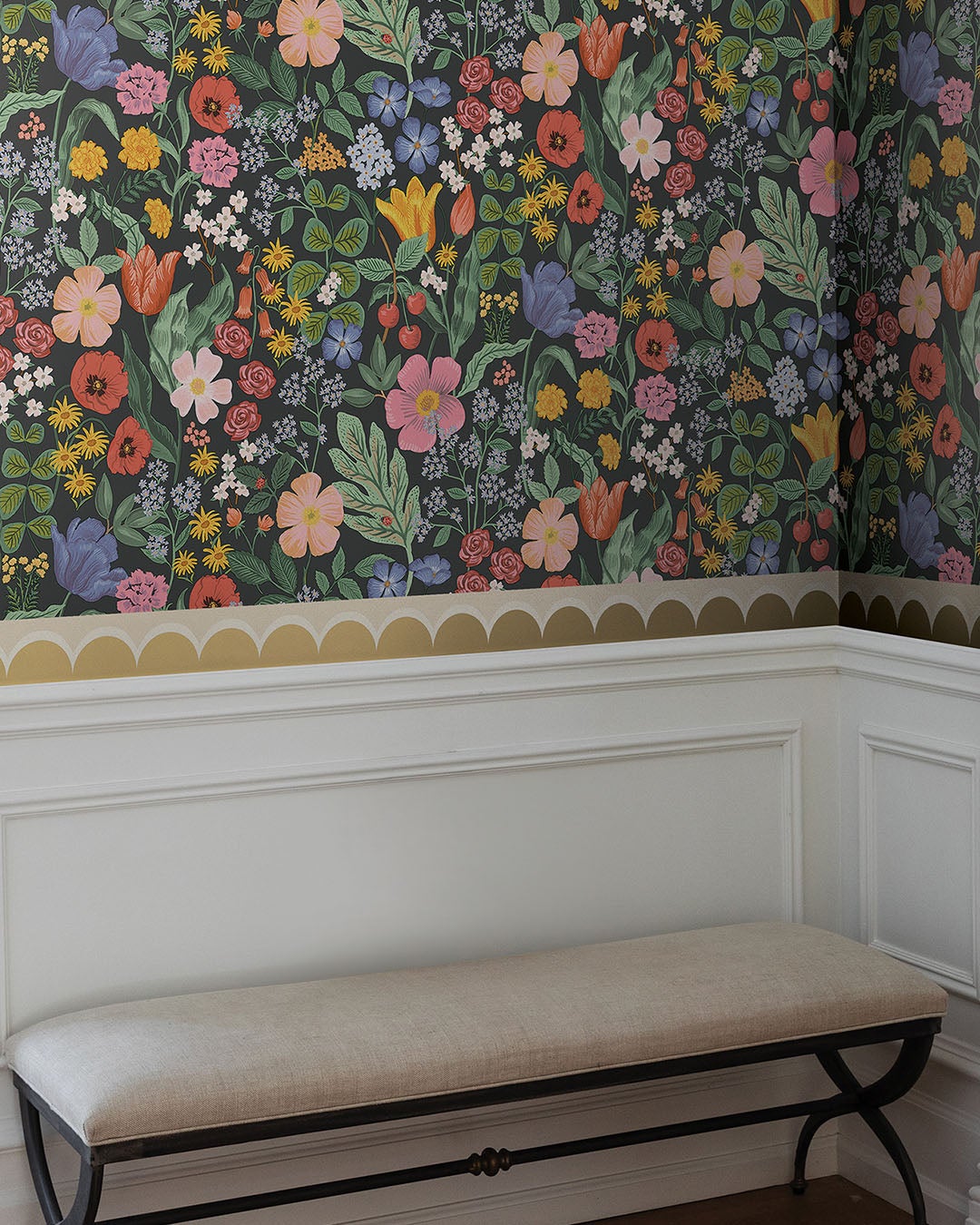 Scallop RF7521B Bård