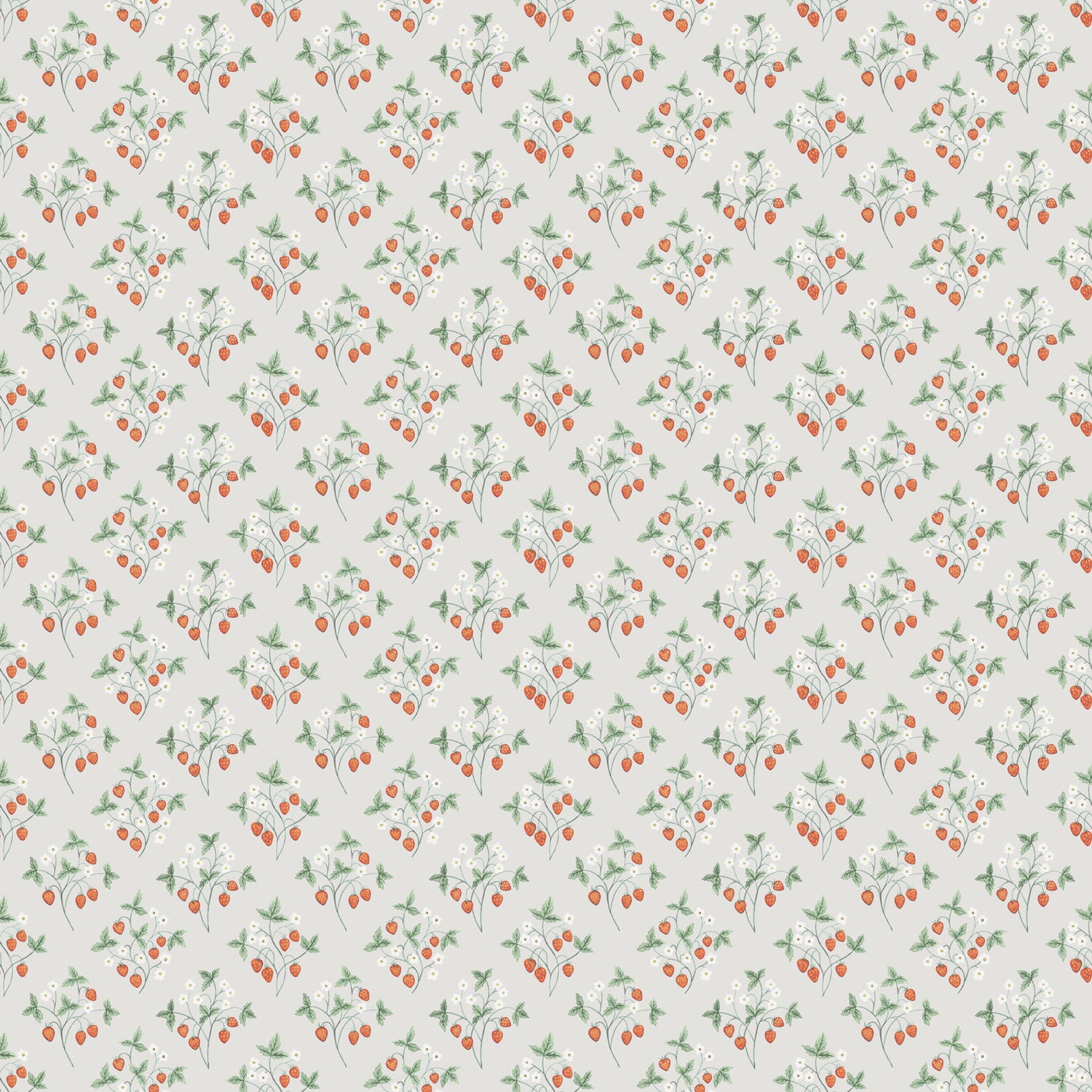 Jordgubb, greige tapet