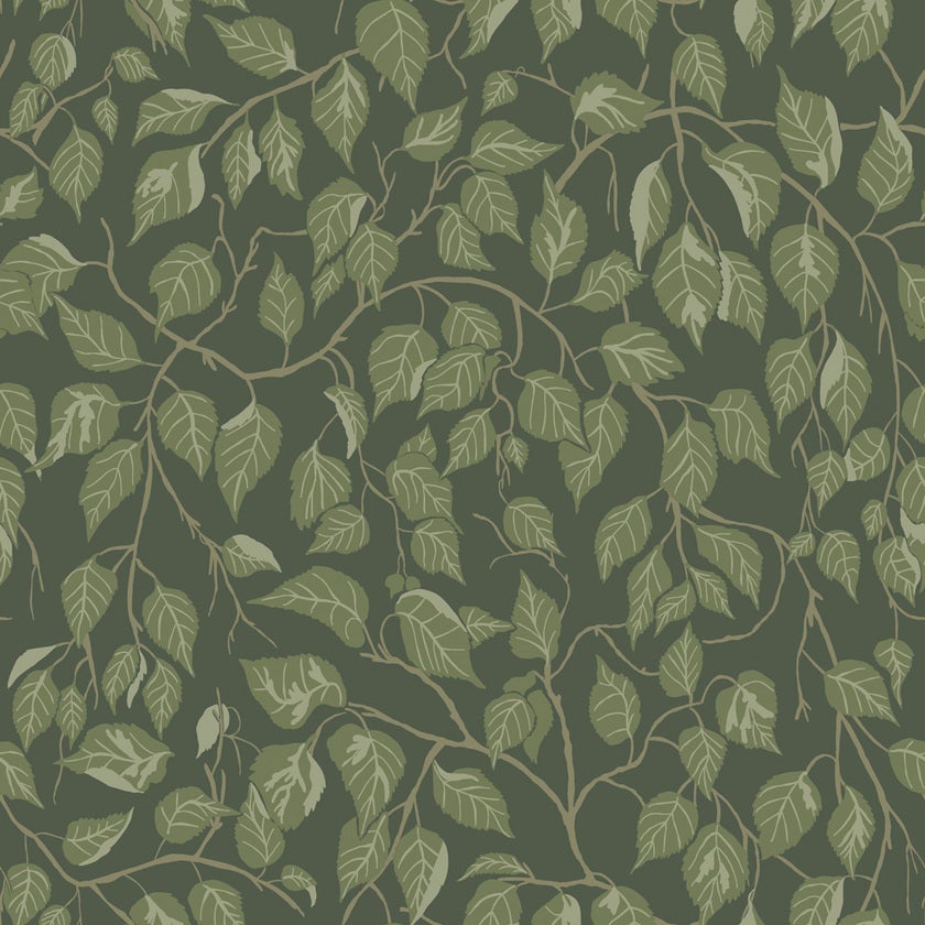 Hängbjörk 20108 tapet