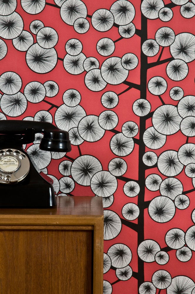 Cotton Tree , röd tapet