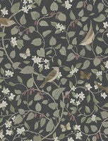 Sångfåglar, tapet i svart