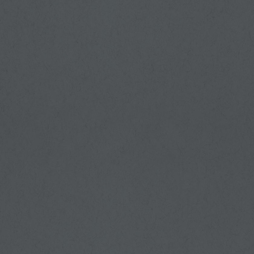 Koltrast tapet 77025