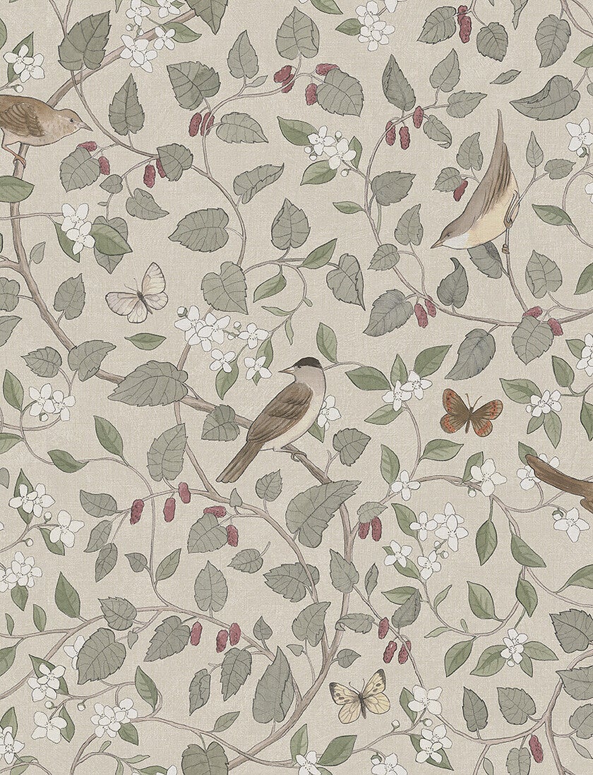 Sångfåglar, tapet i natur