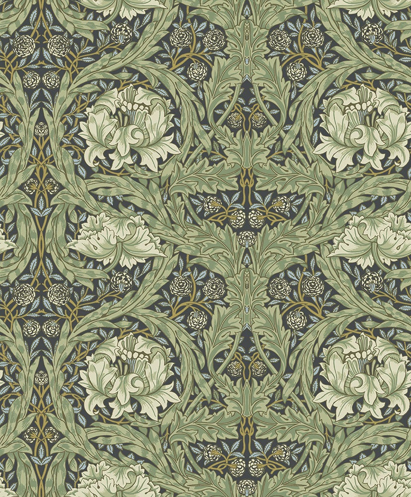 African Marigold 82075 tapet
