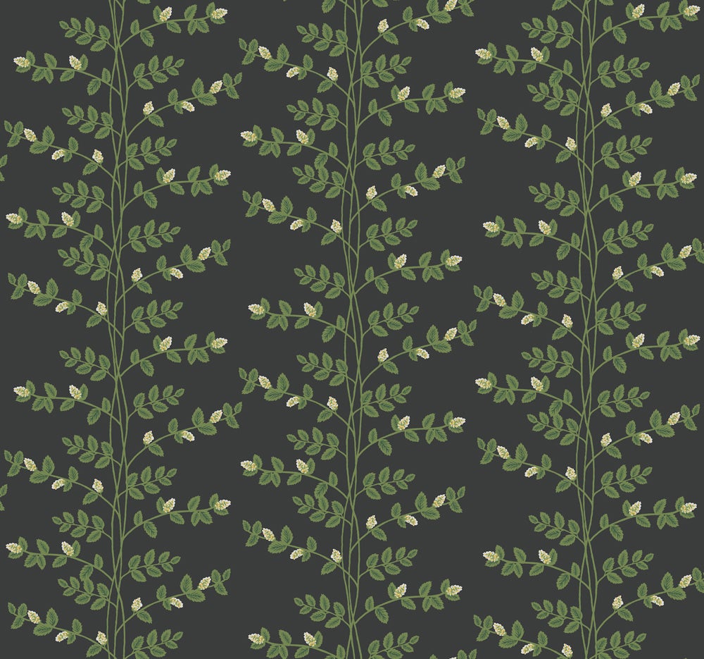 Climbing Vine RF7422 Tapet