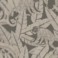 Monkey Rock - TRI002