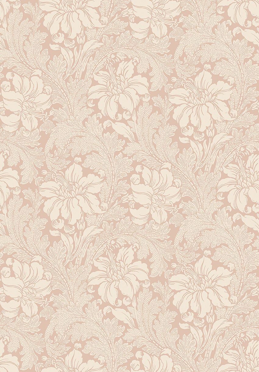 Acanthus storblommig, beige/dovt rosa