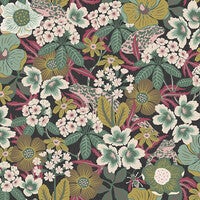 Kvackstepp, multifärg