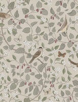 Sångfåglar, tapet i natur