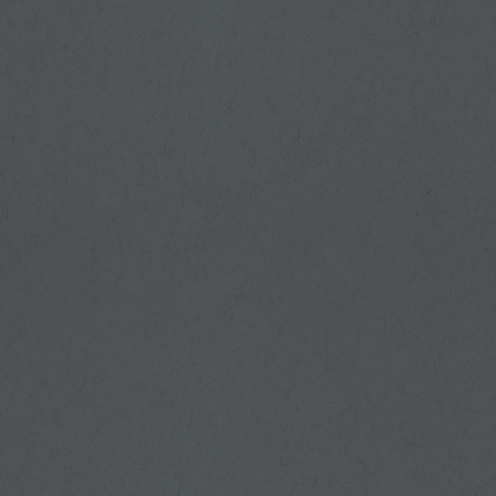 Koltrast tapet 77025