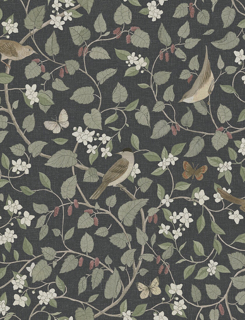 Sångfåglar, tapet i svart