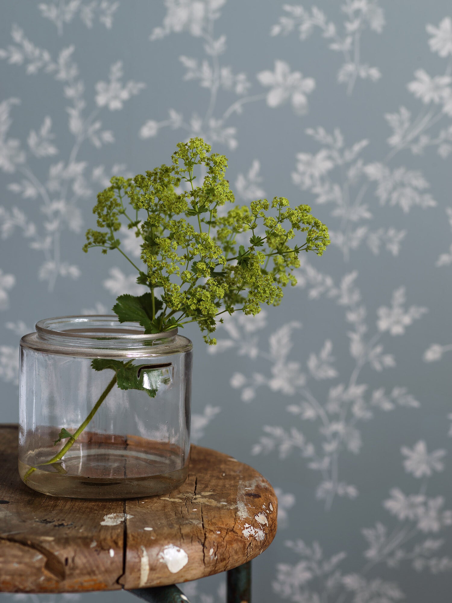 Ängsblomma, blå och vit tapet