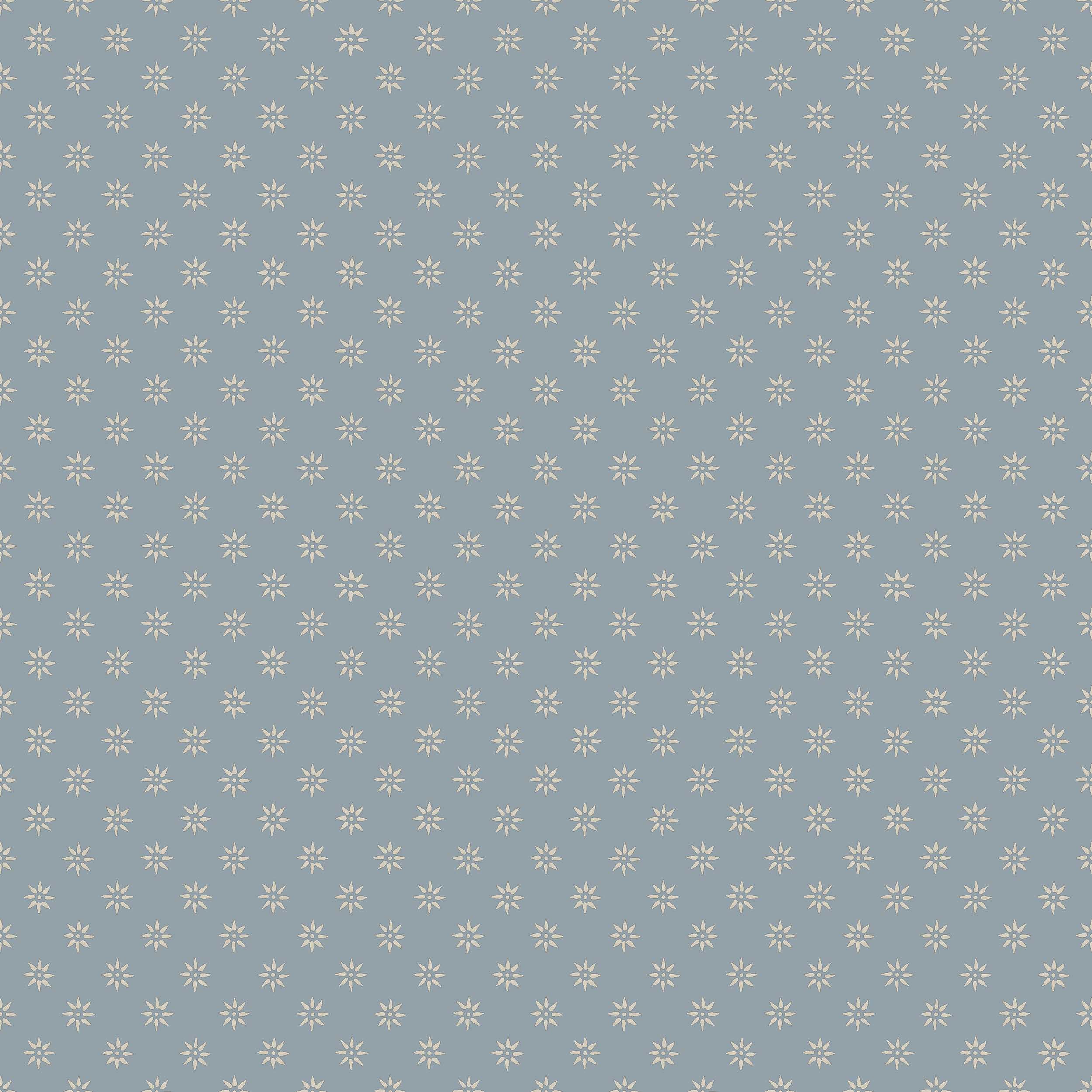 Skogsstjärna, Vit/Blå